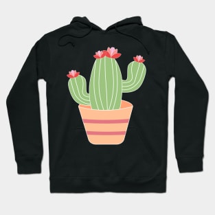 Tall cactus with blooming flower in a ceramic pot Hoodie